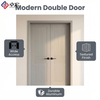 Cold-Rolled Steel Interior Doors – Double Leaf with Anti-Rust Coating