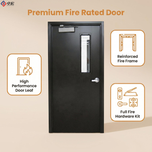 FD30 Steel Fire Door for Commercial Corridors